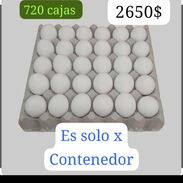 Contenedor de Huevos 2650 /720cajas - Img 45575168