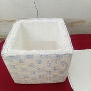 Caja de poliespuma  para conservar cosas frias - Img 55739754