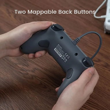 GameSir Tegenaria | Mando Hall Effect | Estilo Retro | Compatible con Nintendo Switch, PC y móviles | - 5/7