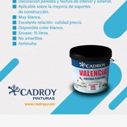 🎨 **PINTURAS IMPORTADAS EUROPEAS** 🇪🇺 - Img 54744470