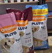 Pienso para perros - Img 48030035