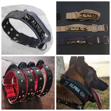 Pecheras para perros - 8/10