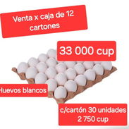 Huevos Blancos - Img 55317377