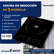 👩🍳 COCINA DE INDUCCIÓN EKO 🔴 SENCILLA 💲50 USD 🔴 DOBLE 💲95 USD - Img 52793494