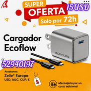 Cargador Ecoflow - Img 56957309