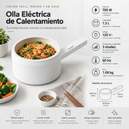 Olla electrica ideal para ecoflow - Img 57983306