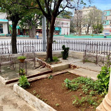Se renta casa para negocio - Img 123635205