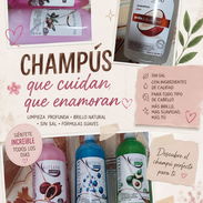 Champhoo y alisado - Img 56256469