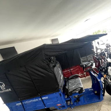 Triciclo eléctrico Jinpeng Panther - 2/4