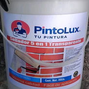 Pintura vinil impermeabilizante piscina - Img 56913127