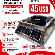Cocina de Inducción Regulable - Img 57313044