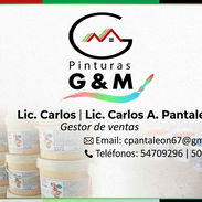 VENTA DE PINTURA VINIL ACRÍLICO A EMPRESAS POR CONTRATOS - Img 57756480
