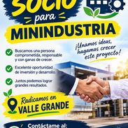 Solicitamos un socio para MININDUSTRIA - Img 57508108