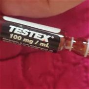 Testosterona testex - Img 45908783