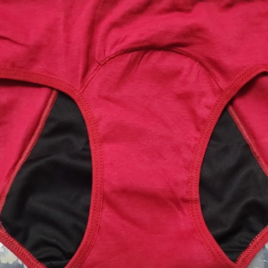 Ropa interior complementaria para el período blumer - Img 118655652