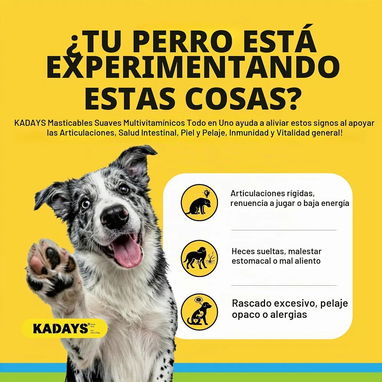Multivitamínico Todo en Uno para Perros Kadays - 3/3