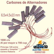 Carbones de alternador - Img 55737483