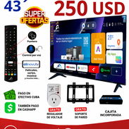 Tv de 43 - Img 55723276