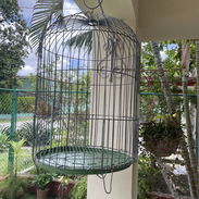 Vendo jaula de cotorra. Es de uso pero está cuidada, trae su bandeja original de las plásticas. - Img 55617222