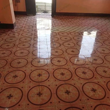 Pulidor de pisos 6 3273925 productos originales sin ensuciar las paredes tecnología moderna - Img 122655552
