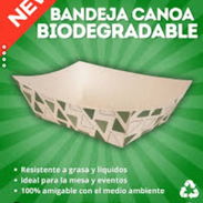 ENVASES DESECHABLES: DOMOS, CAPACILLOS, TERMOPACK, CUCURUCHOS - Img 55880275