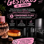 📢 ¡BUSCO GESTORES DE VENTA! 💼✨  Estoy formando un pequeño equipo de personas que quieran generar ingresos - Img 57367458