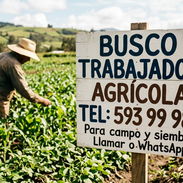 Buscamos personal para hacer producir nuestras tierras - Img 57347438