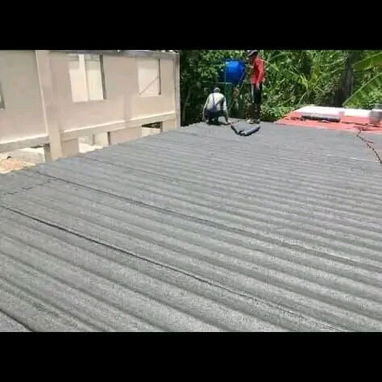 Reparación de techos - Img 123229500