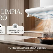 CAMPANA EXTRACTORA DRIJA - Img 57816596