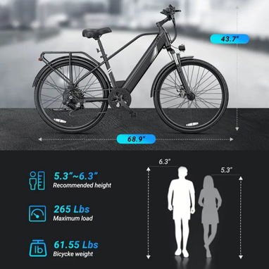 Bicicleta eléctrica DYU C7L 26" - 2/3