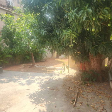 CASA INDEPENDIENTE CON PATIO AMPLIO Por el Parque Ecológico 110 euros 53582376 - Img 122146791