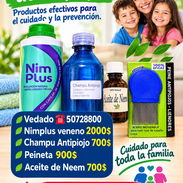 KIT PARA ELIMINAR PIOJOS Y LIENDRES - Img 56734533