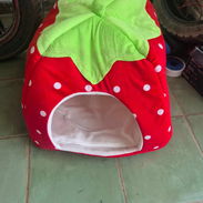 Vendo casaita cama para perro pequeño - Img 55611859