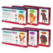 Simparica Trio - Img 51420047