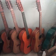 Guitarras acuáticas - Img 58134267