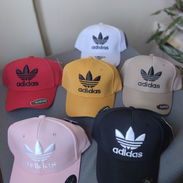 Gorra - Img 52550401