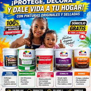 Todo tipo de pinturas de Alta Gama originales selladas e importadas para interior y - Img 56005294