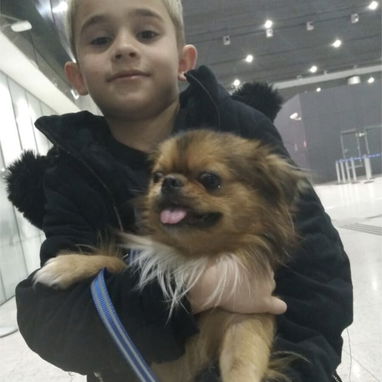 AGENCIA DE VIAJES DE MASCOTA - Img 123866799