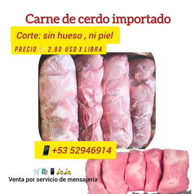 Solomillo de cerdo natural, importado. Masa de cerdo importado, sin grasa , ni hueso, pechuga de pollo natural. - 2/3
