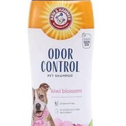 SHAMPOO PARA CONTROLAR LOS MALOS OLORES - Img 58185583