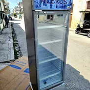 NEVERA EXHIBIDORA MILEXUS  390 LTS 13.7 PIES  COLOR GRIS  VIENE CON SUS CIERRES,LLAVES, RELOJ DE TEMPERATURA Y SUS PARIL - Img 56610227