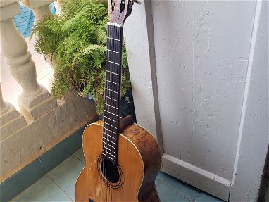 Guitarra de maple - Img main-image