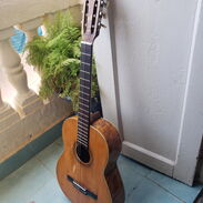 Guitarra de maple - Img 45557758