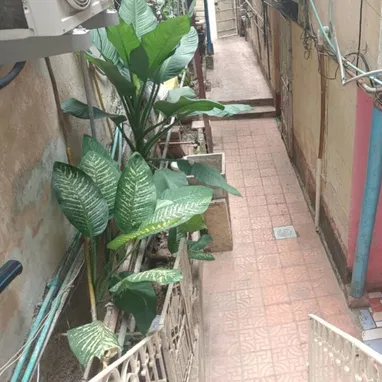 Vendo apto 2 hab en vedado todo incluido - 10/10