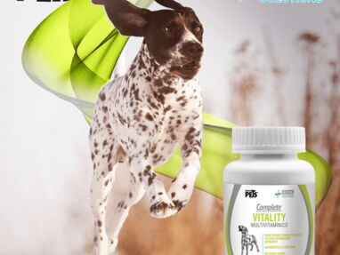 Vitaminas y suplementos para perros y gatos. Vitality/Prosense/Lassy/Fortex - Img 62154460