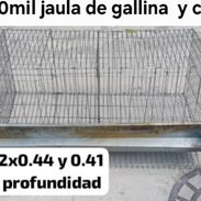 Jaula de gallina - Img 56085916