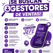 Se buscan gestores de venta - Img 56206053