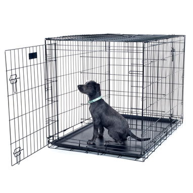 Pitbull.Rotweiler.Doberman.Pastor.Teckel.Salchicha.Chiguagua.Bulldog.Labrador.Dálmata.Cocker.Shihtzu.Spaniel.Boxer - 4/10