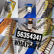 Inyectables: Gravinol, Rosefin, Ceftriaxona, Dipirona, Omeprazol, - Img 58146038