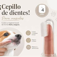 CEPILLO DE DIENTES PARA MASCOTAS - Img 55881811